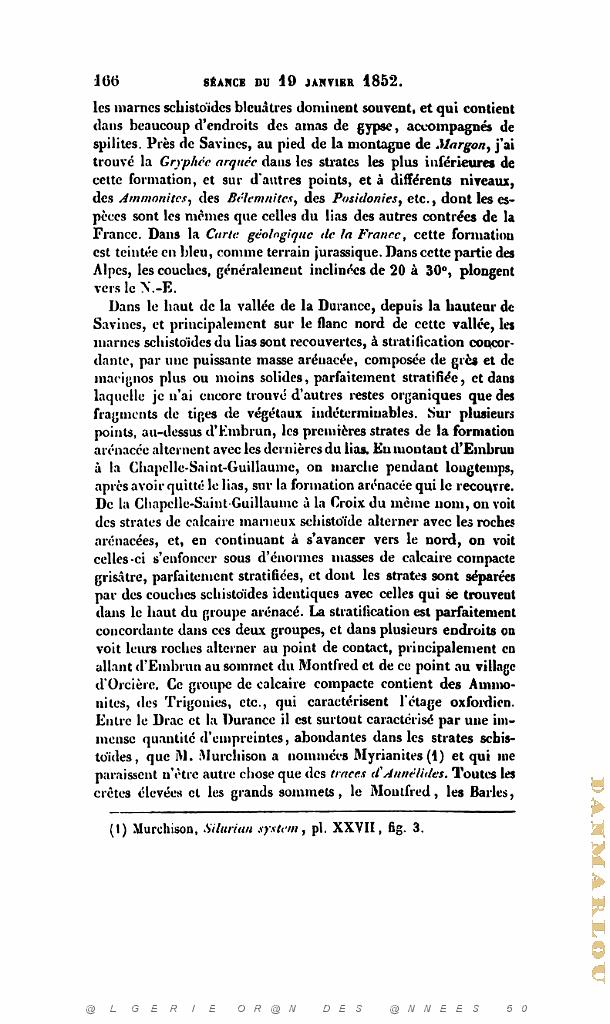 BULLETIN DE LA SOCIETE GEOLOGIQUE DE FRANCE 1852_000207.jpg